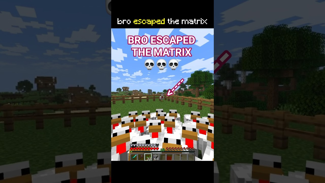 Bro Escaped the Minecraft Matrix 💀 #pogribak