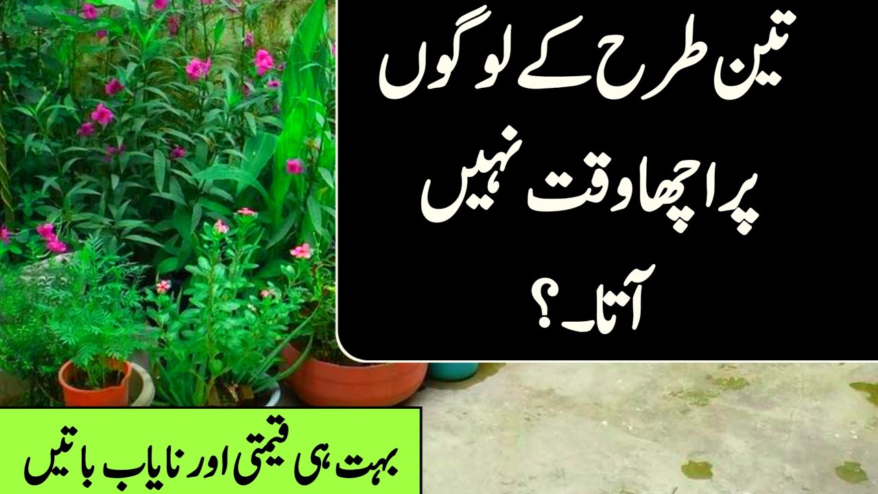 Teen Tarah ke logon per achcha waqt Nahin aata | Golden Urdu quotes aqwal e zareen 