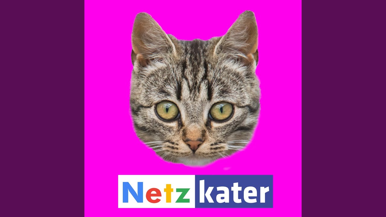 Netzkater