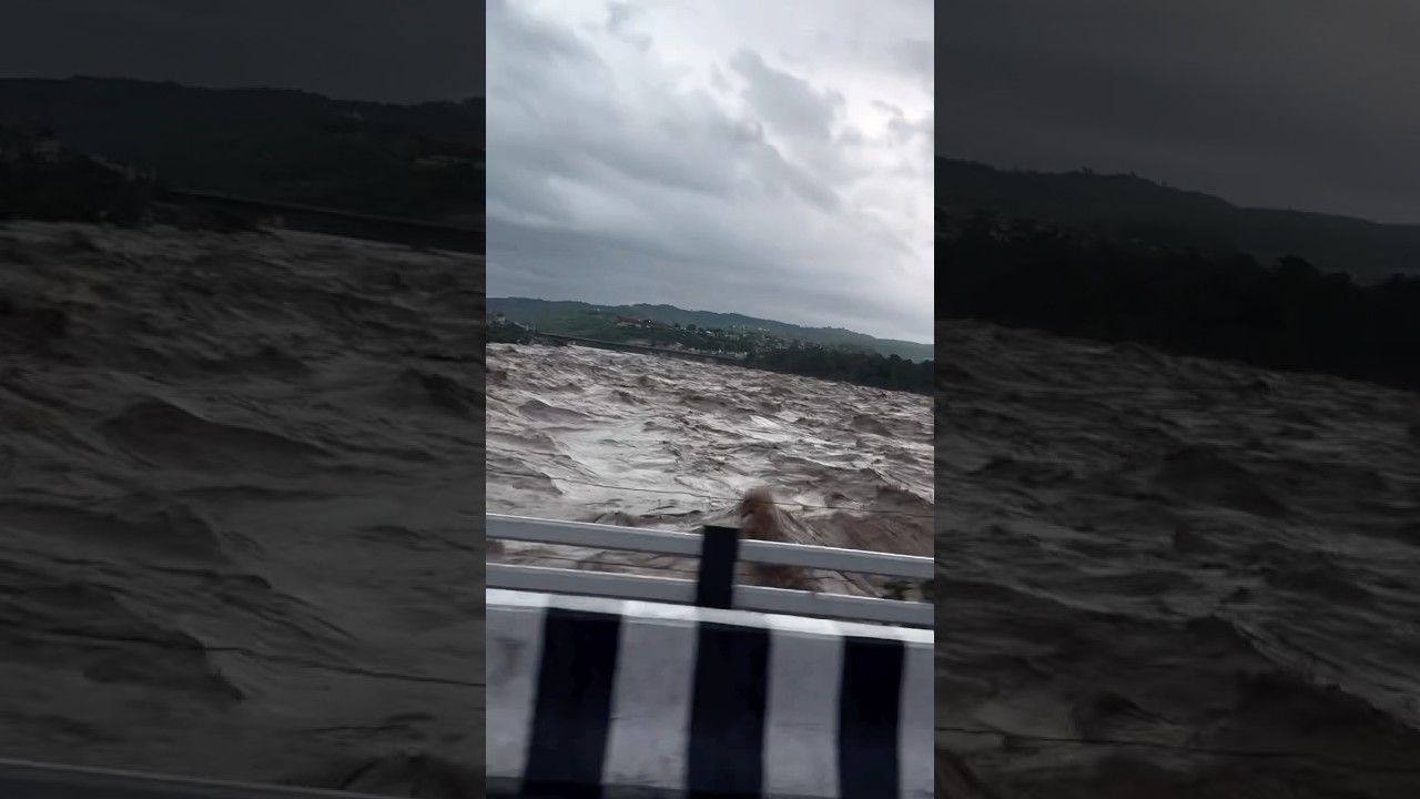 Jammu Tawi Flood #ytshorts #jammu #flood #trending