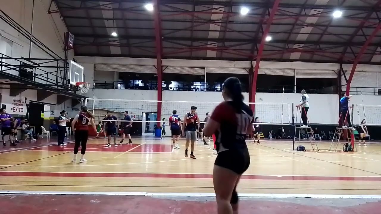 Premier vs universal team 3er. Set.
