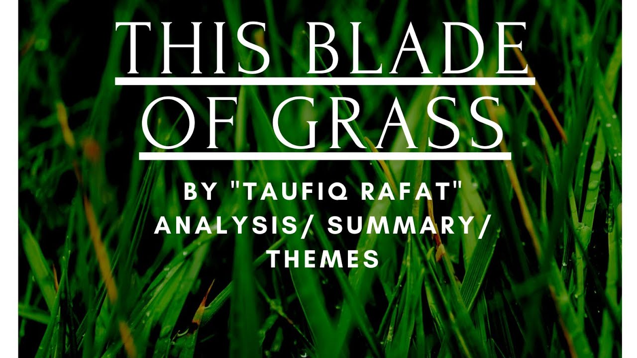 Analysis of This Blade of Grass by Toufiq Rafat || Summary || Themes