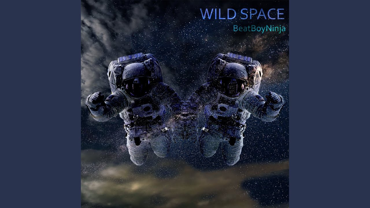 Wild Space