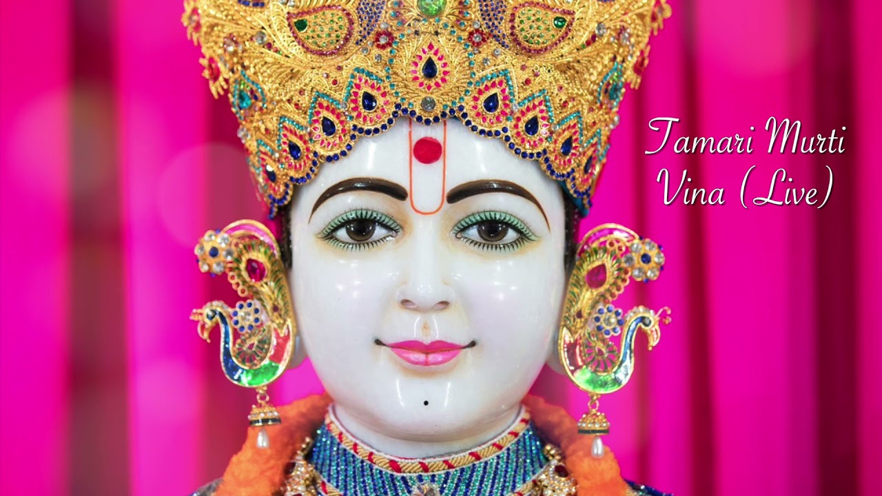 Tamari Murti Vina | Meena Bhatt Modi (Live)