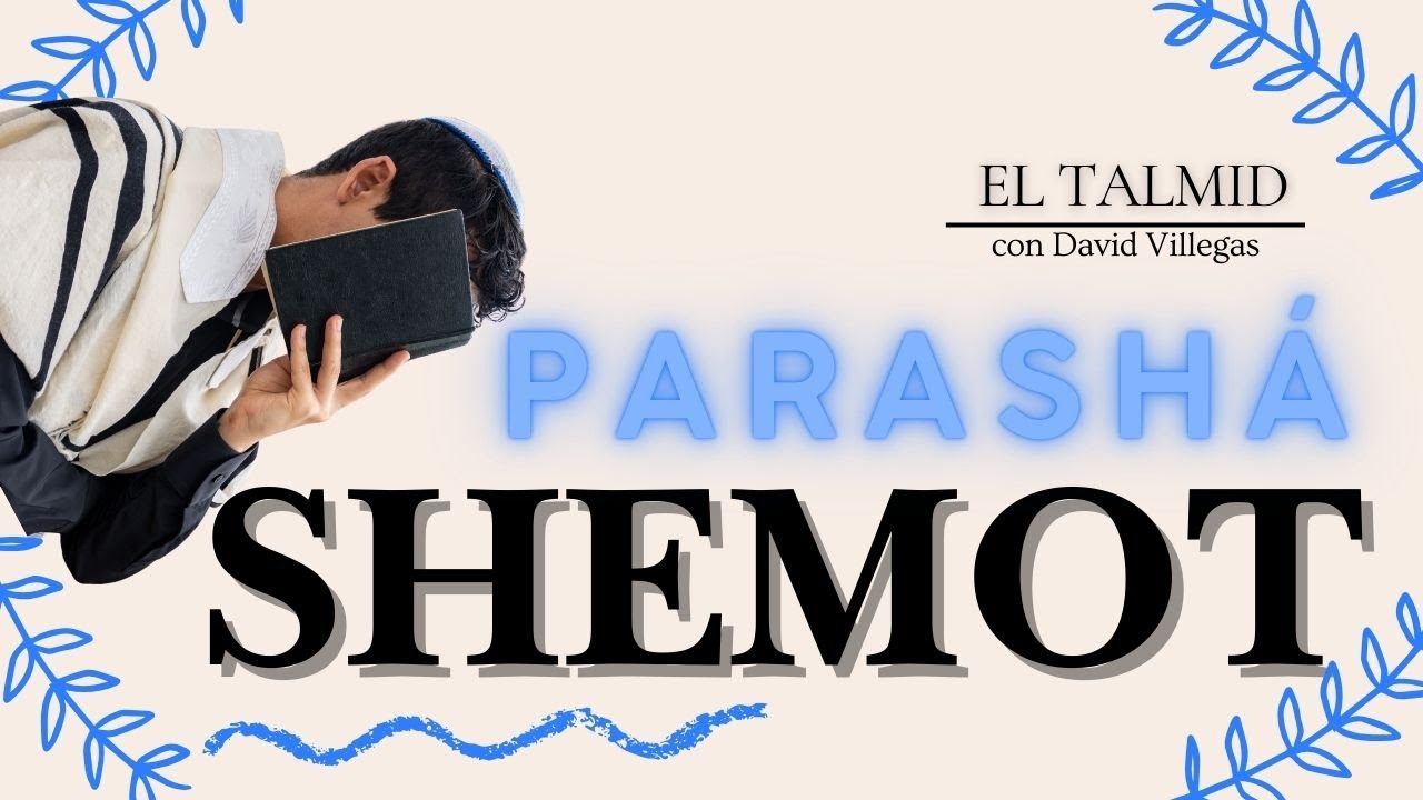 El Talmid