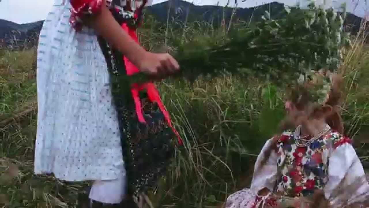 Jeden Slovenský Príbeh Jakubany