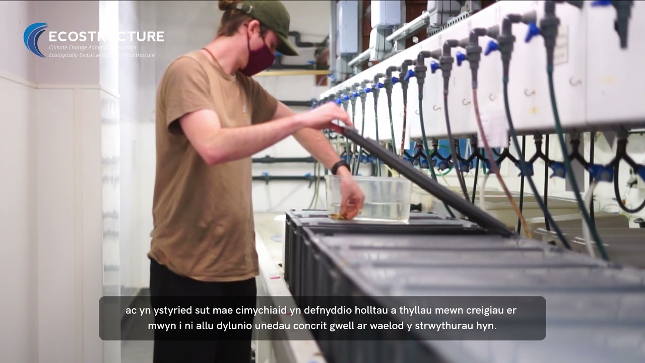 Researching the Habitat Preferences of the European Lobster