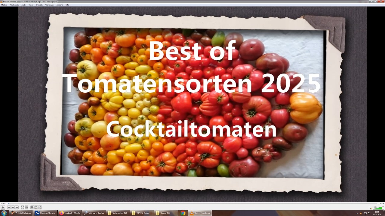 Best of Tomaten 2025 - Cocktailtomaten