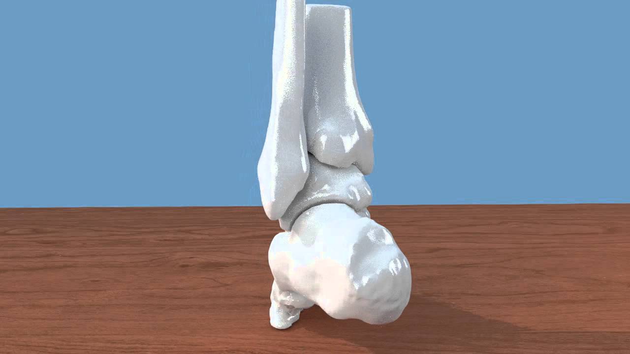 3D printable ankle STL file, free download