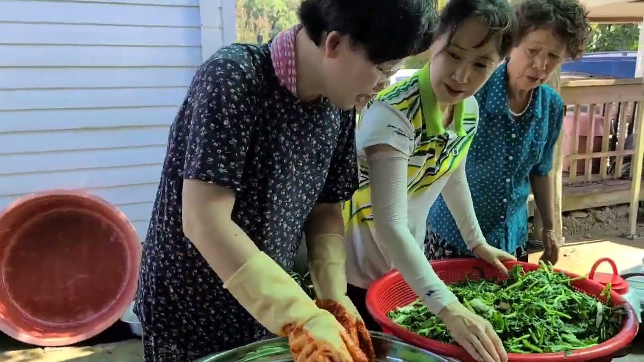채소가 금값인데 어린 김장무우로 김치담기 열무김치맛 ?