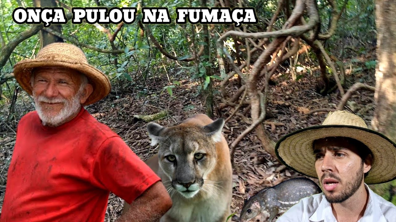 Zé Maria na espera de Paca e a ONÇA Parda que tentou roubar a caça.. Causos Caipiras