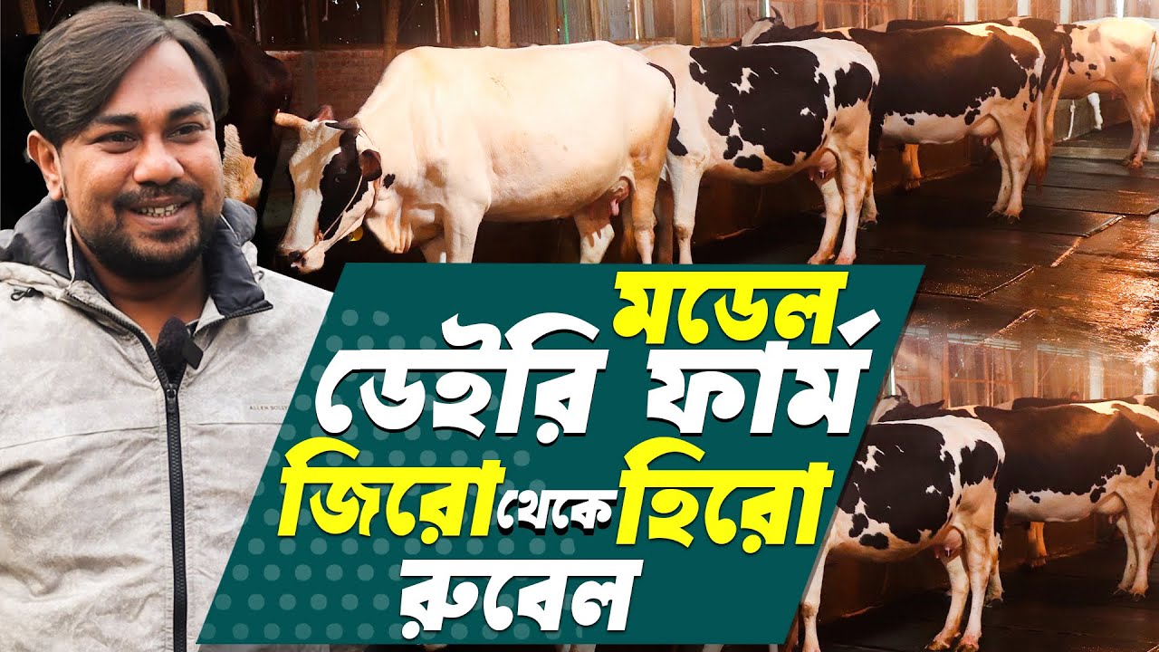 স্বপ্ন পূরণের লক্ষ্যে আধুনিক দুগ্ধ খামার- শূন্য থেকে সুবিশাল খামার গড়েছে রুবেল | Modern Dairy Farm