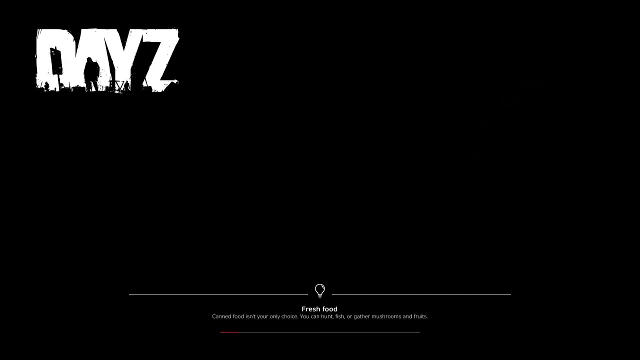 Day Z