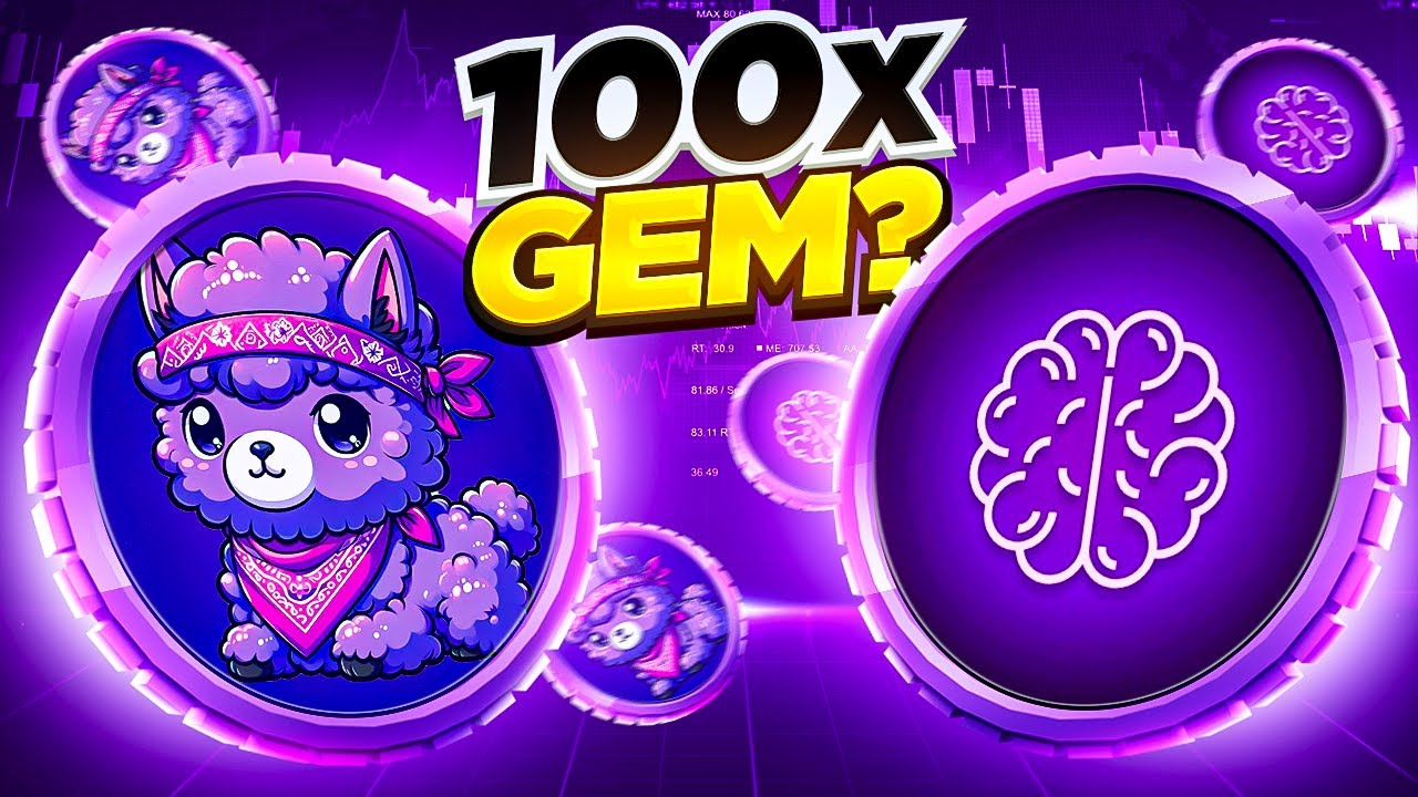 HIDDEN GEM ON SOLANA!! | MEME COIN WITH 100X POTENTIAL??