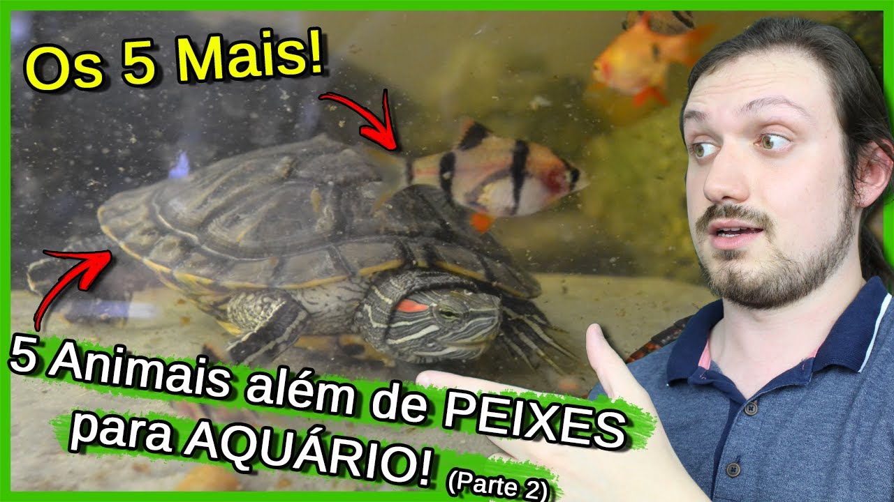 5 Animais além de PEIXES para se ter em Aquário! - Parte 2