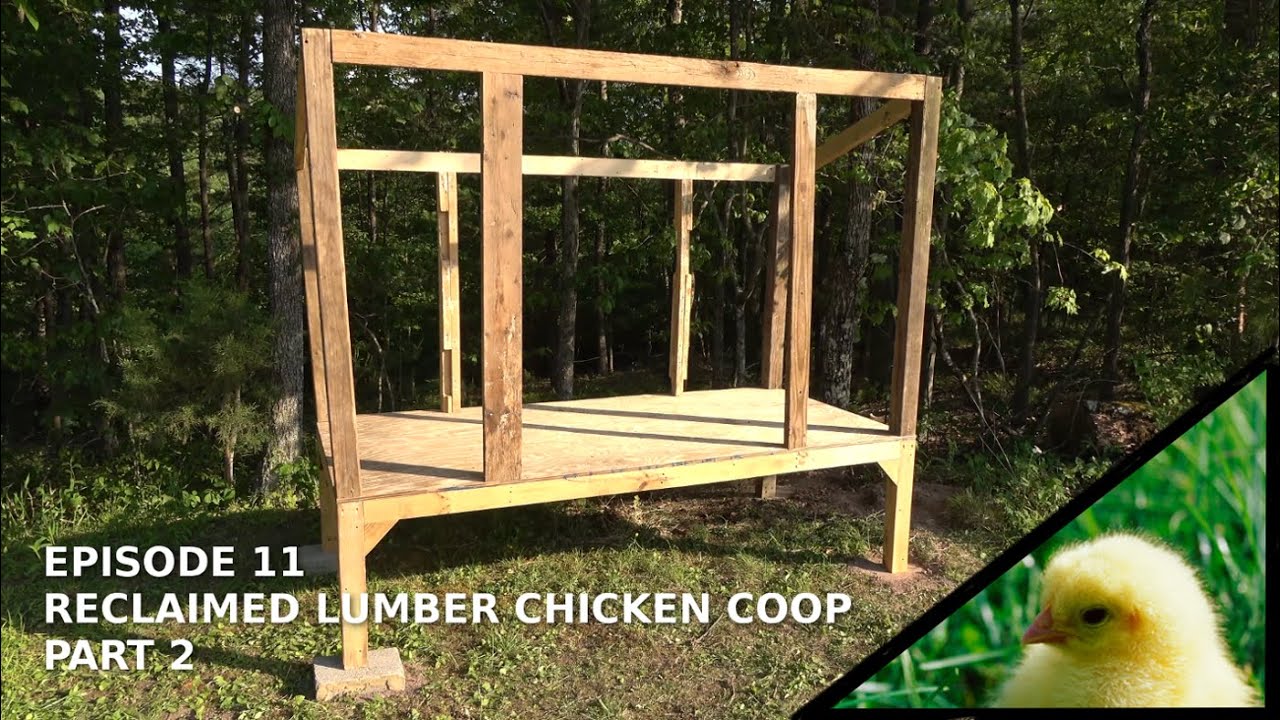 Episode 11 - Reclaimed Lumber Chicken Coop - Part 2