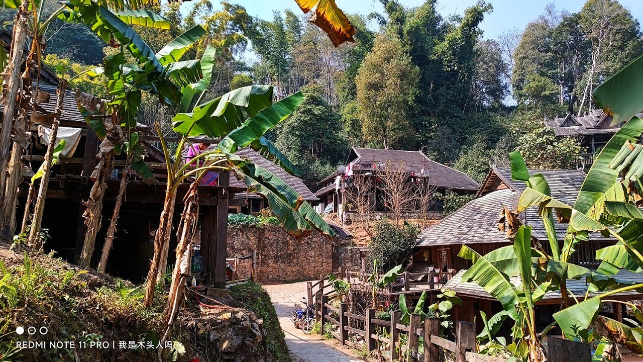 雲南景邁山上的原始秘境糯幹古寨 The original secret Nuogan Ancient Village on Jingmai Mountain in Yunnan