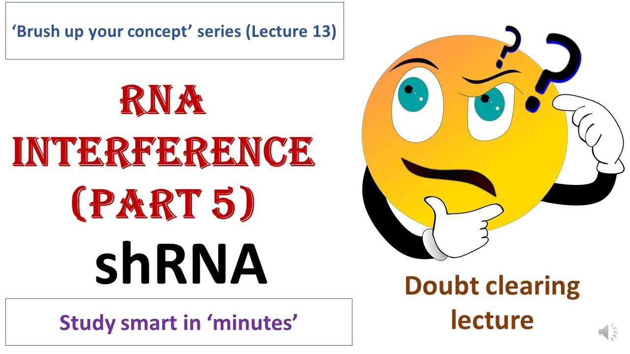 shRNA mechanism | short hairpin RNA | small hairpin RNA | Gene silencing technique | Gene knockdown