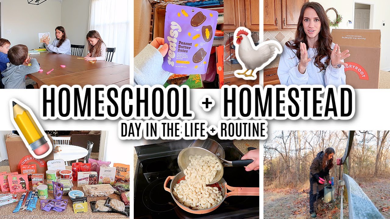 DAY IN THE LIFE OF A MOM OF 3 HOMESCHOOLING + HOMESTEADING // MORNING ROUTINE OF A MOM 2024