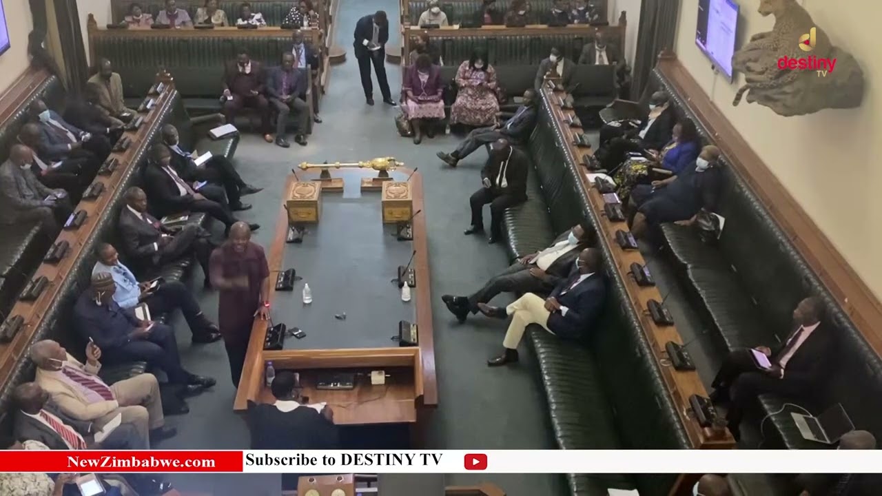 Independent Norton MP Temba Mliswa responds to Wednesday's Parly ejection