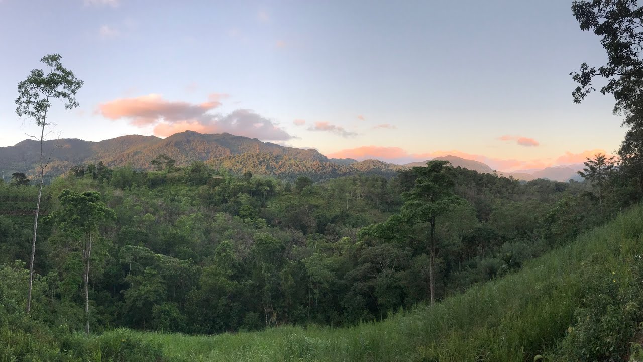 Weddagala Village before the Singharaja Rain Forest Entrance