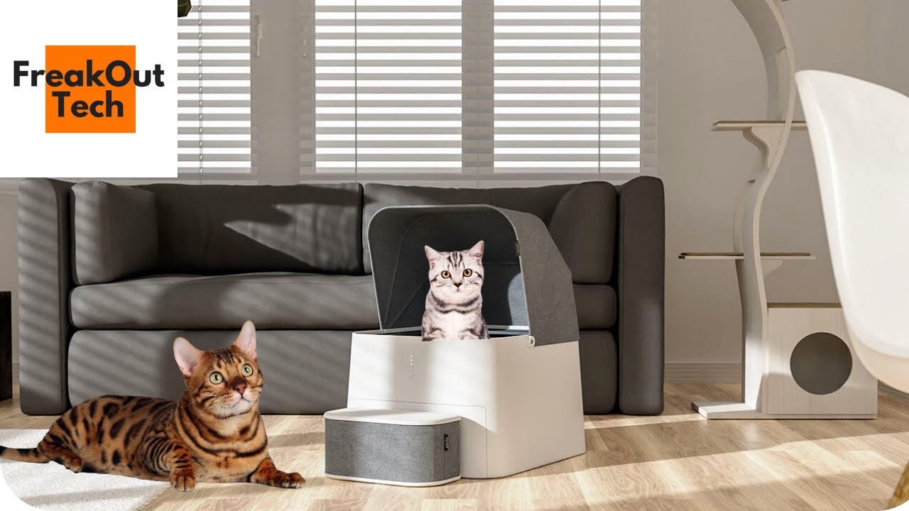 8 Amazing Cat Gadgets You Need To See