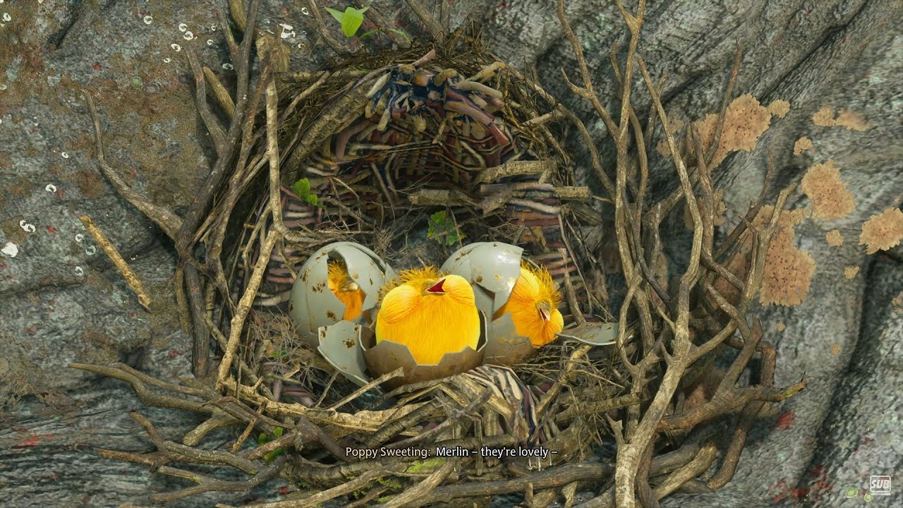 Finding the GOLDEN SNIDGETS in Hogwarts Legacy (PS5 4K Graphics)