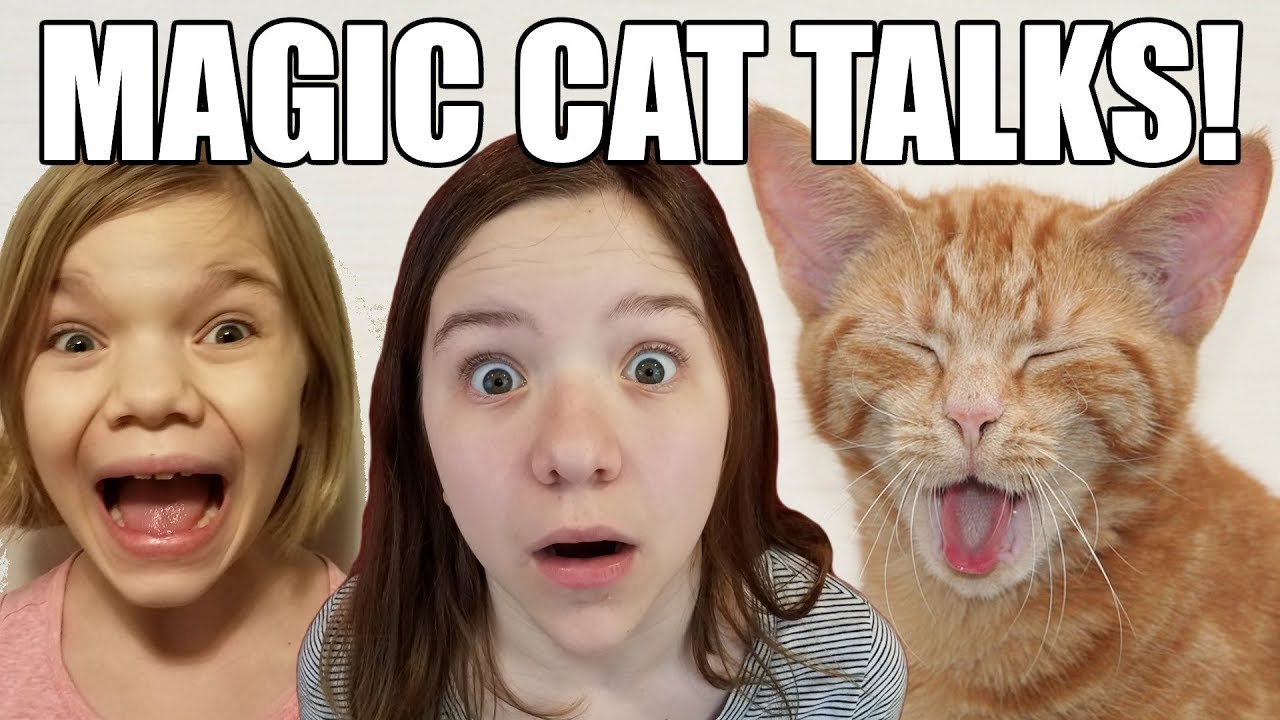 Magic Cat Really Talks! Babyteeth4 Mini Movie