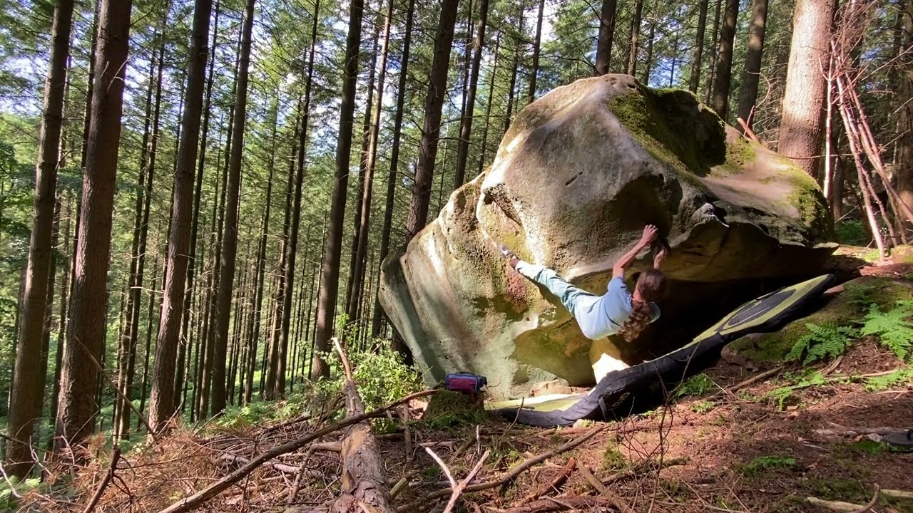Ferschweiler - Wegelagerer 7A (D&uuml;sterwald / Wegelagerer)