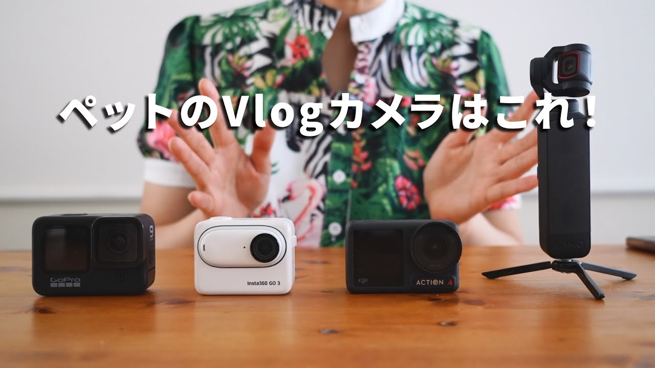 犬たちを5年撮り続けて分かった、最強のVlogカメラ