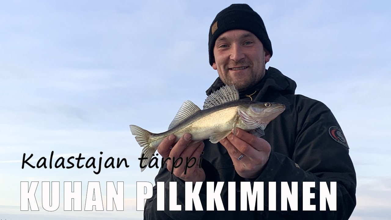 Kuhapilkillä