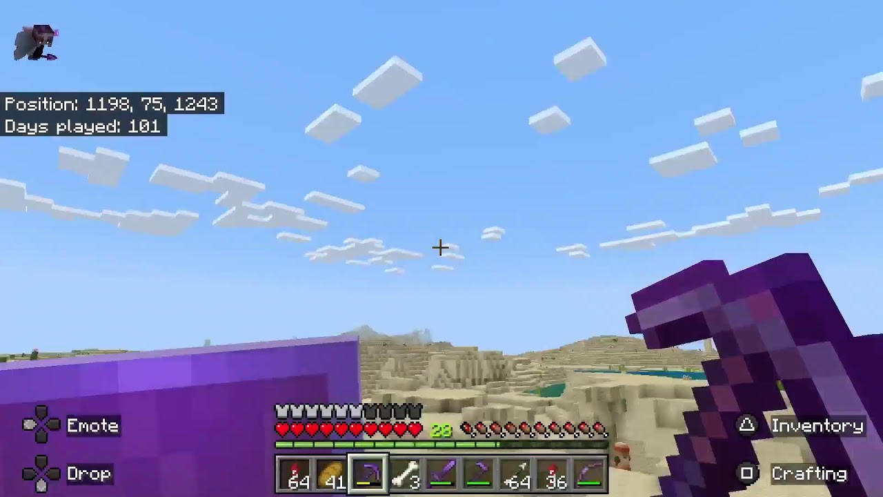 Minecraft  1000 day grind