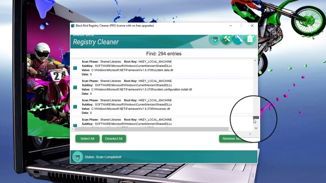 Black Bird Registry Cleaner Pro