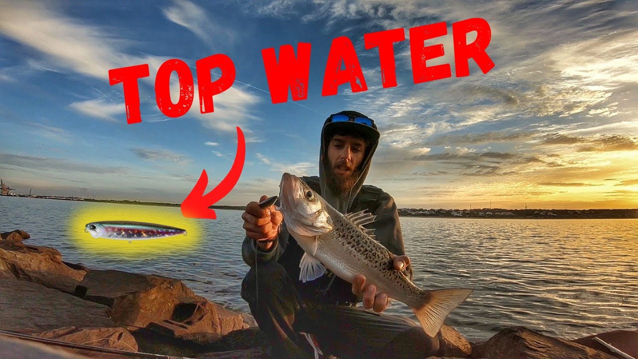 PESCA CON PASEANTE Y JIG  AL AMANECER || SPINNING HUELVA