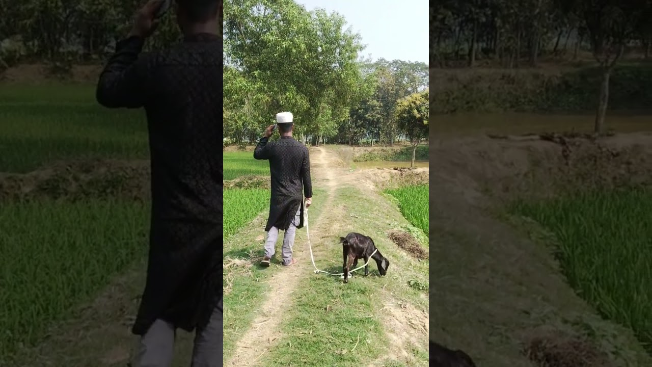 #Gaurav neer# Sagar# Tere Dil #funny# #video##🎉😂💕🥰🌹💓🥺❤️🤣