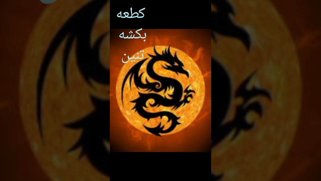 كطعاوي ابي بكشه 