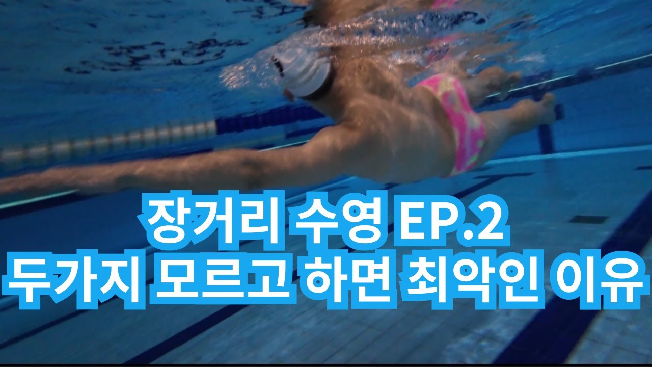 장거리 수영 이거 보시면 자유형 100바퀴 가능합니다