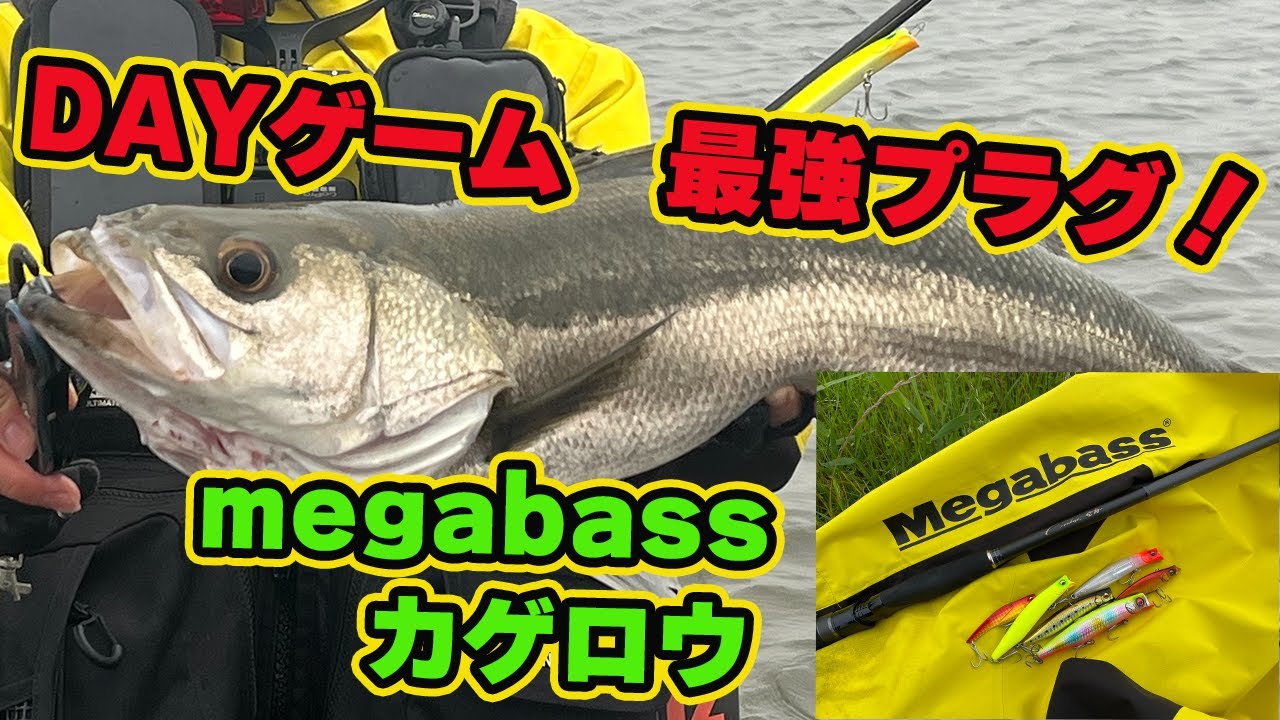 VOL.38 初夏のDAYゲーム！DAYゲームで釣れる最強プラグ！megabass カゲロウ！