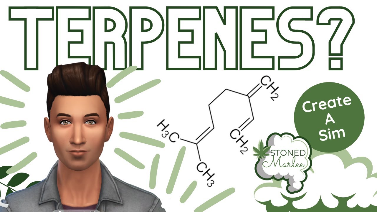 Cannabis Terpenes as Sims - Puff and  Play Sims 4 * Stoned Marlee *