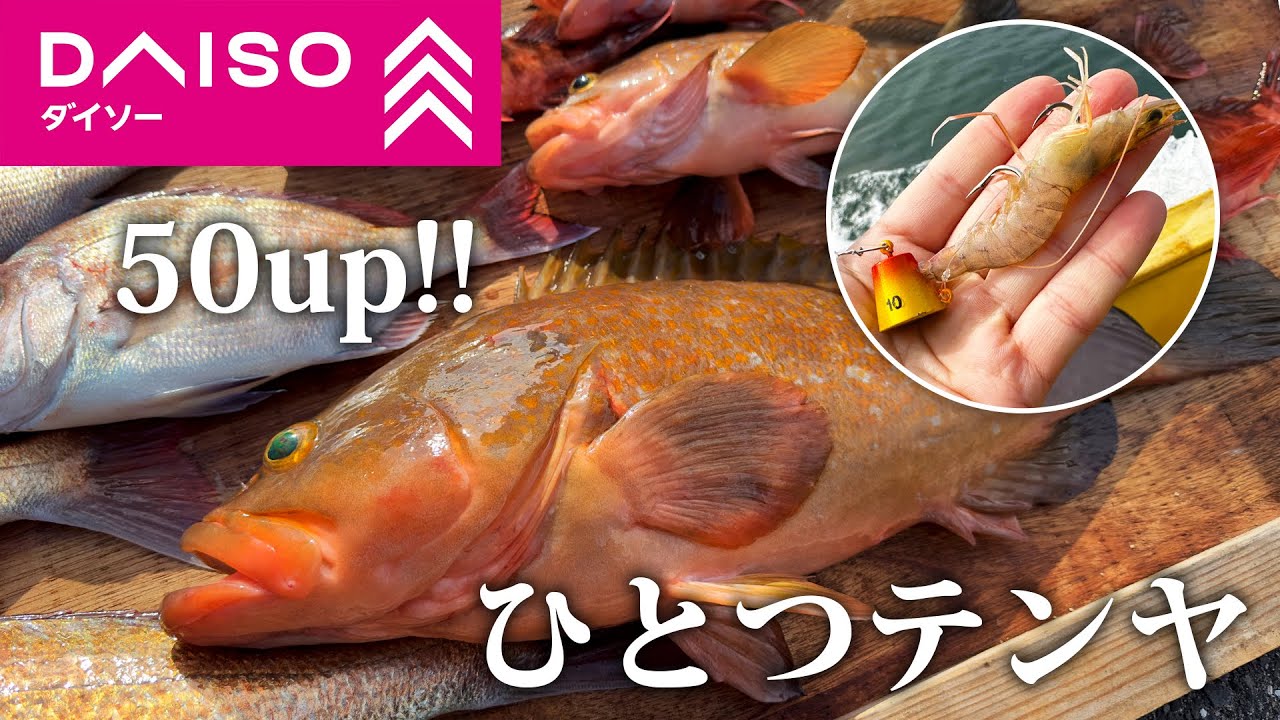 【爆釣】ダイソーのひとつテンヤにあの巨大高級魚が現れる...！？