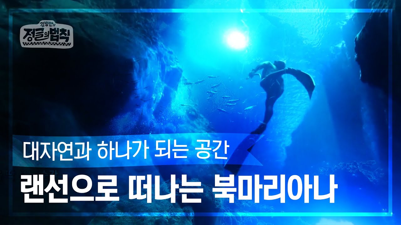 [랜선 여행✈️] 자연의 신비를 담은 인생 다이빙 스팟! 북마리아나 로타섬 [정글의 법칙|SBS 방송]