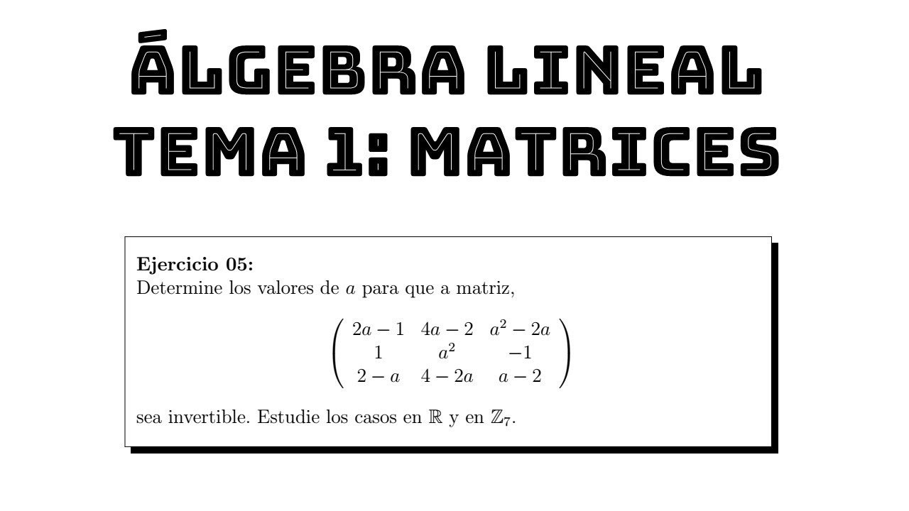 ejercicio 05 matriz invertible dependiendo de un par&aacute;metro || &aacute;lgebra lineal tema 1 matrices