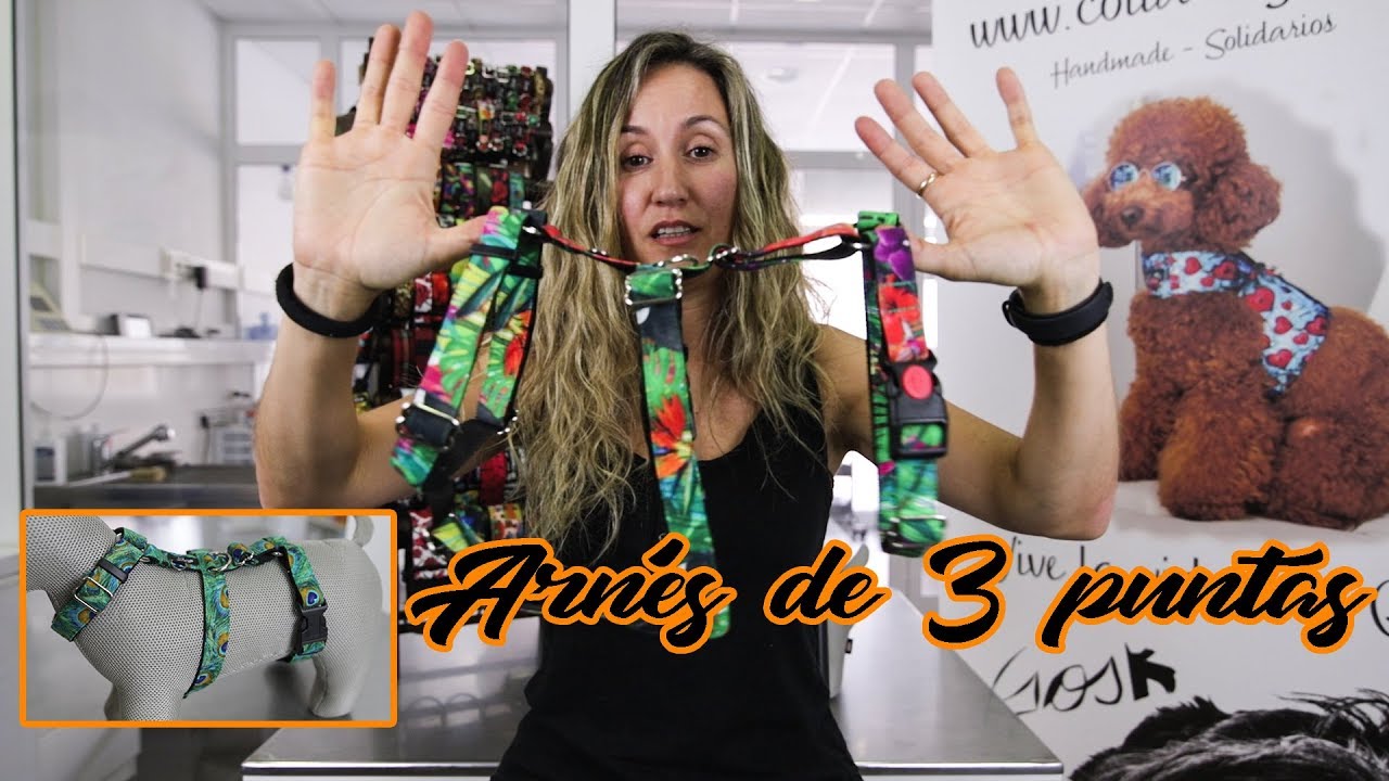 ¡ARNÉS ANTI-ESCAPE! ¿CUANDO ES NECESARIO? ¿FUNCIONA? [GOSK]