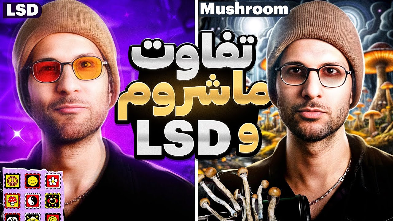 تفاوت ال اس دی و مجیک ماشروم ❌ تجربه و علم رو یه جا جمع کردم
