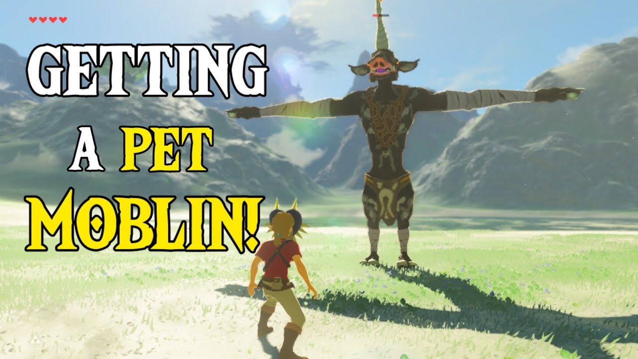 Link Gets a Pet MOBLIN! | Zelda: Breath of the Wild