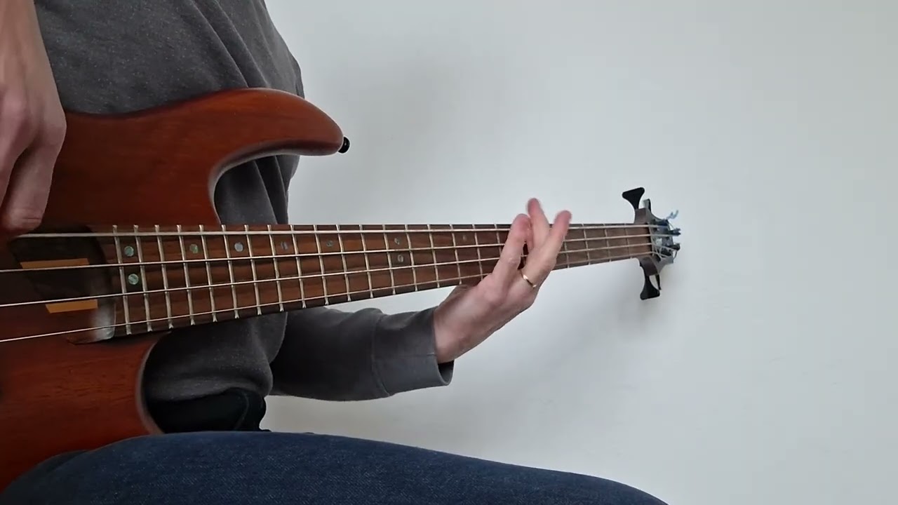 POD  - Bad boy (bass cover)