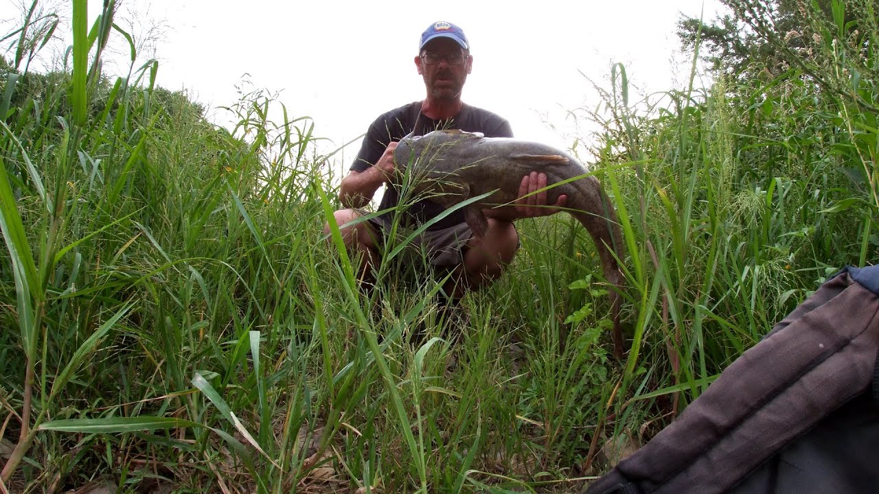 Raccoon River daytime Flathead