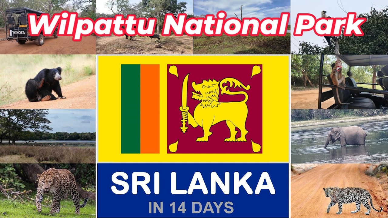 SRI LANKA - WILPATTU NATIONAL PARK - DAY 2