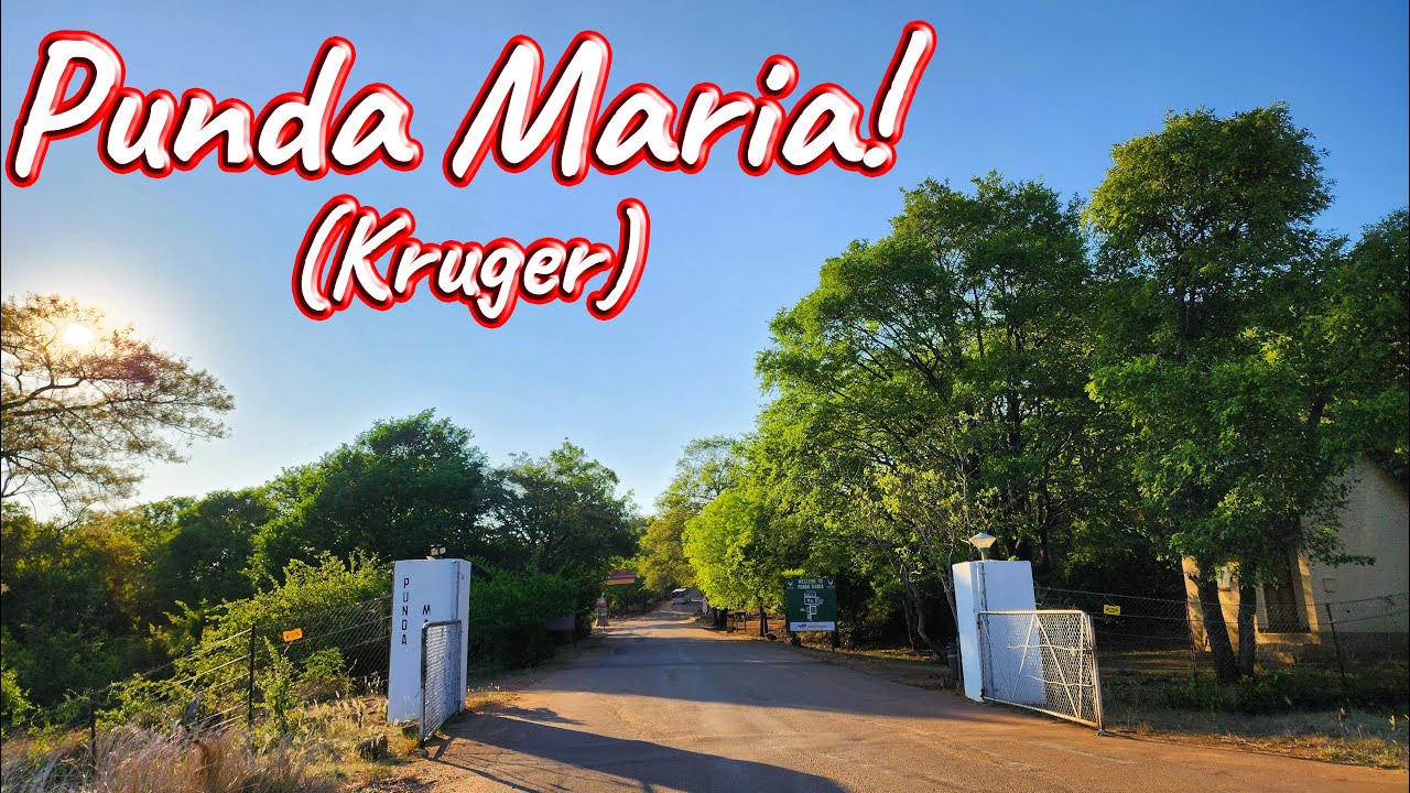 Punda Maria Rest Camp! Ep 425