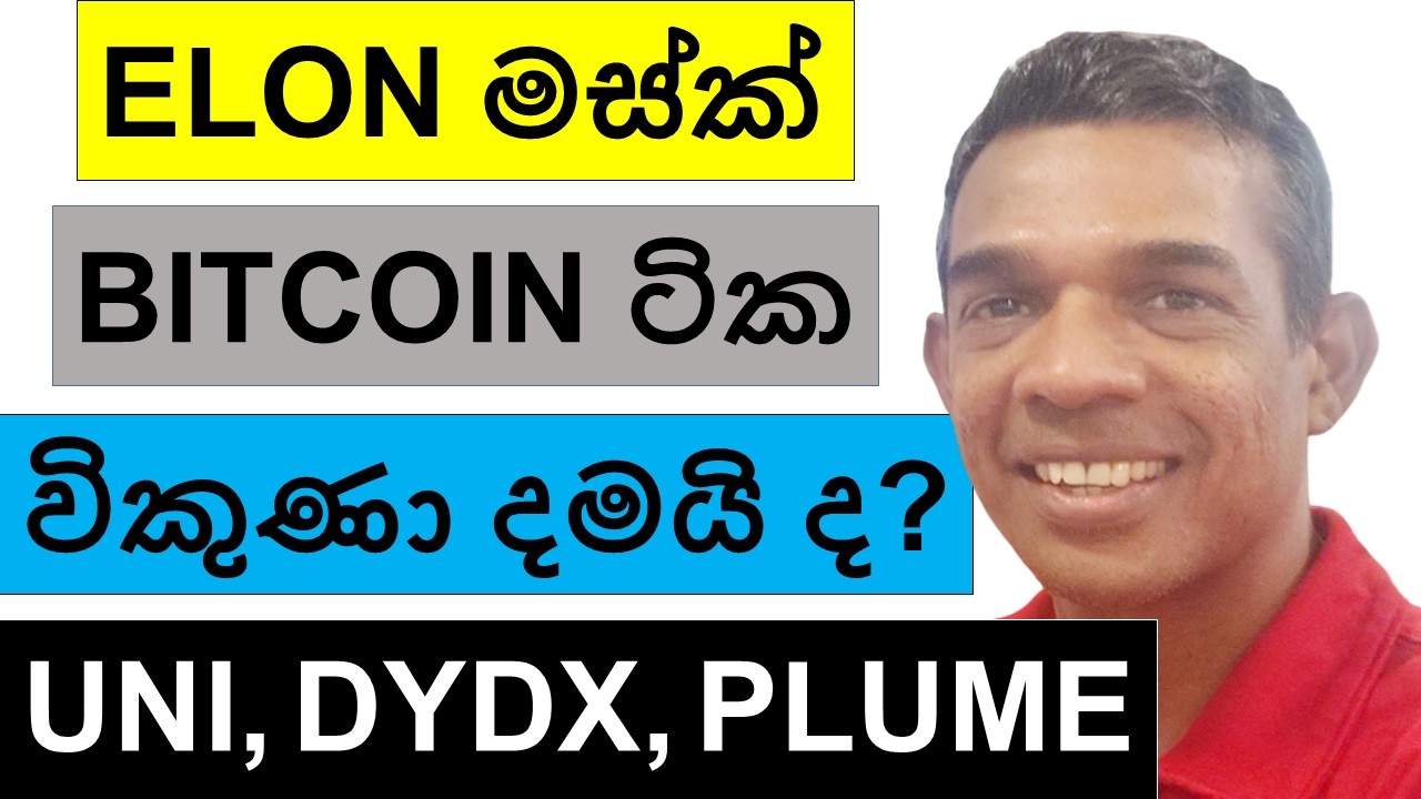 ELON මස්ක් BITCOIN ටික විකුණා දමයි ද? | UNI, DYDX, AND PLUME | ALTCOINS